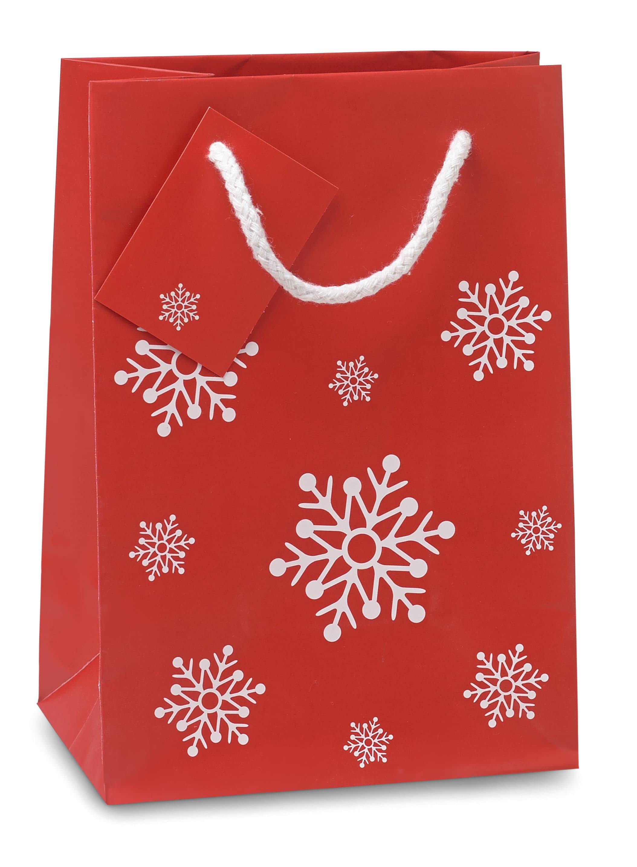 Gift Paper Bag Small