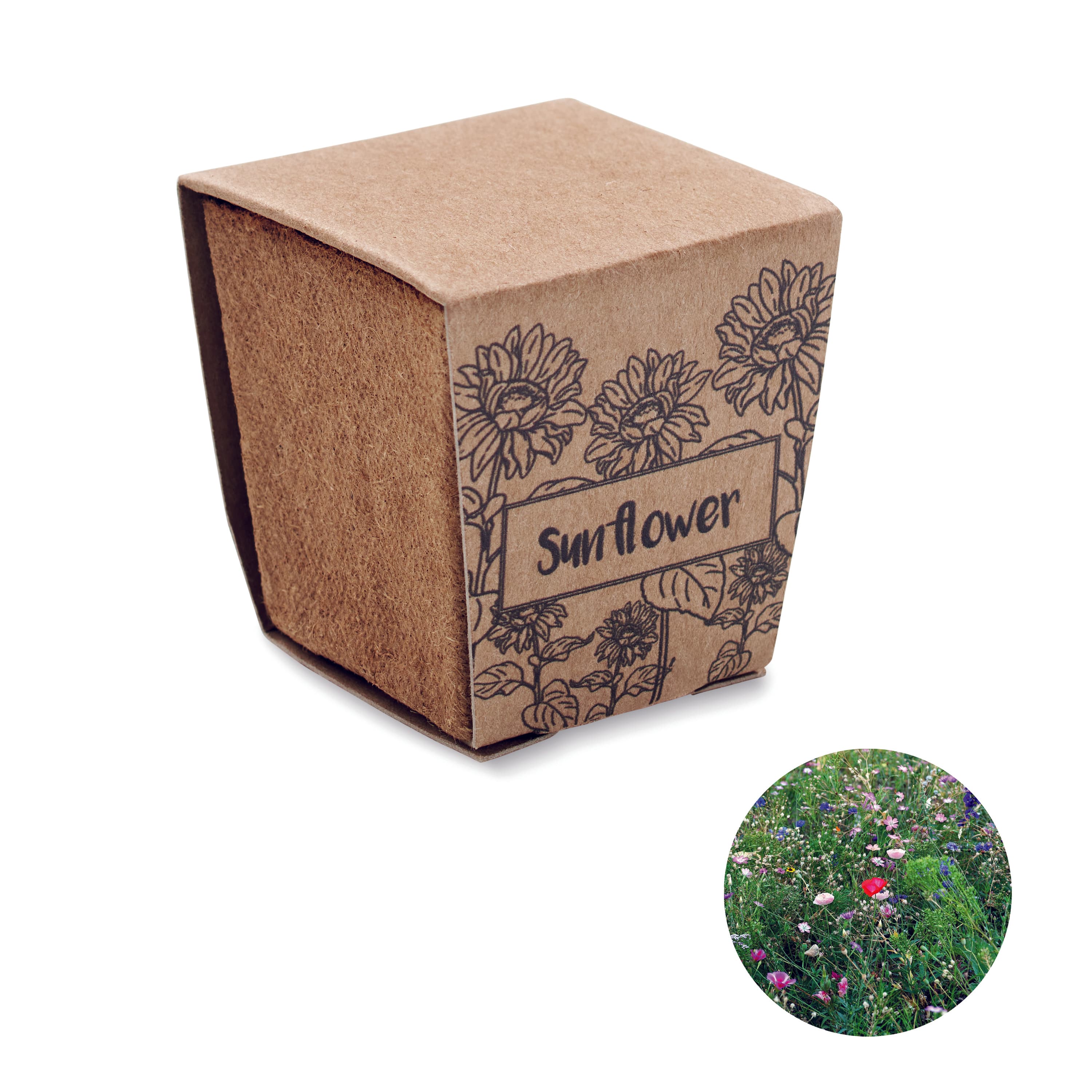 Sunflower Growing Kit