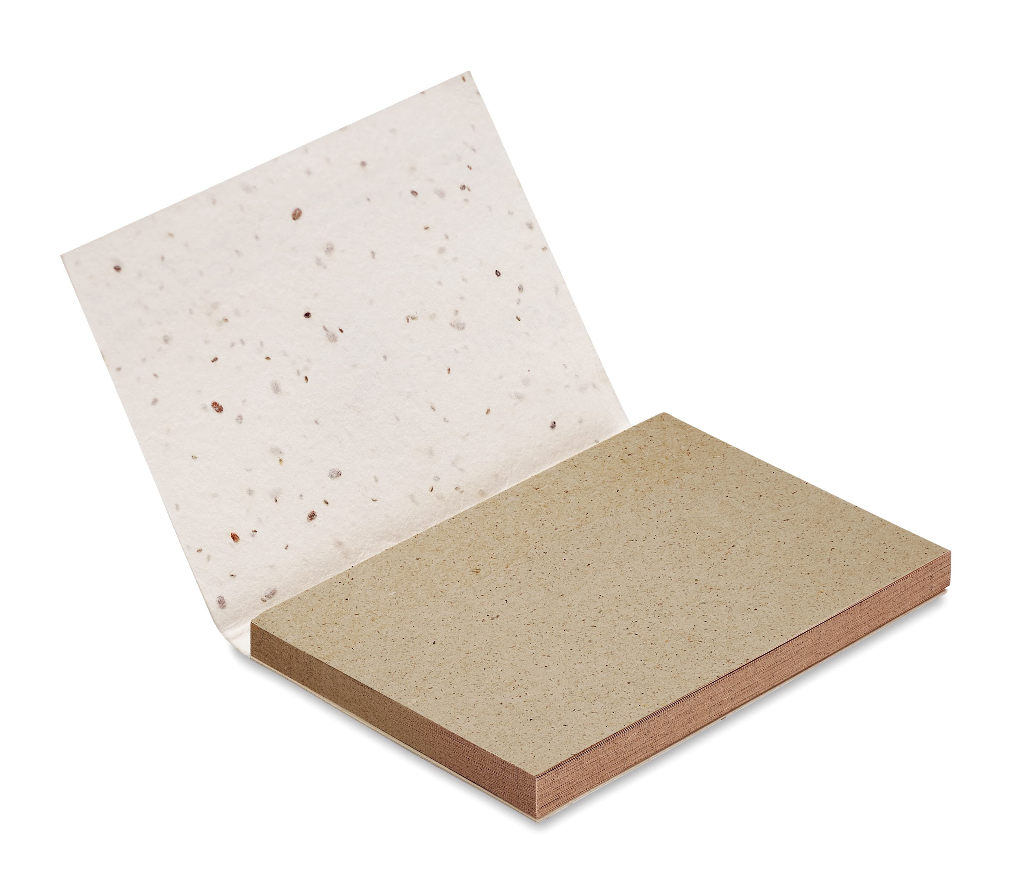 Grass/seed Paper Memo Pad