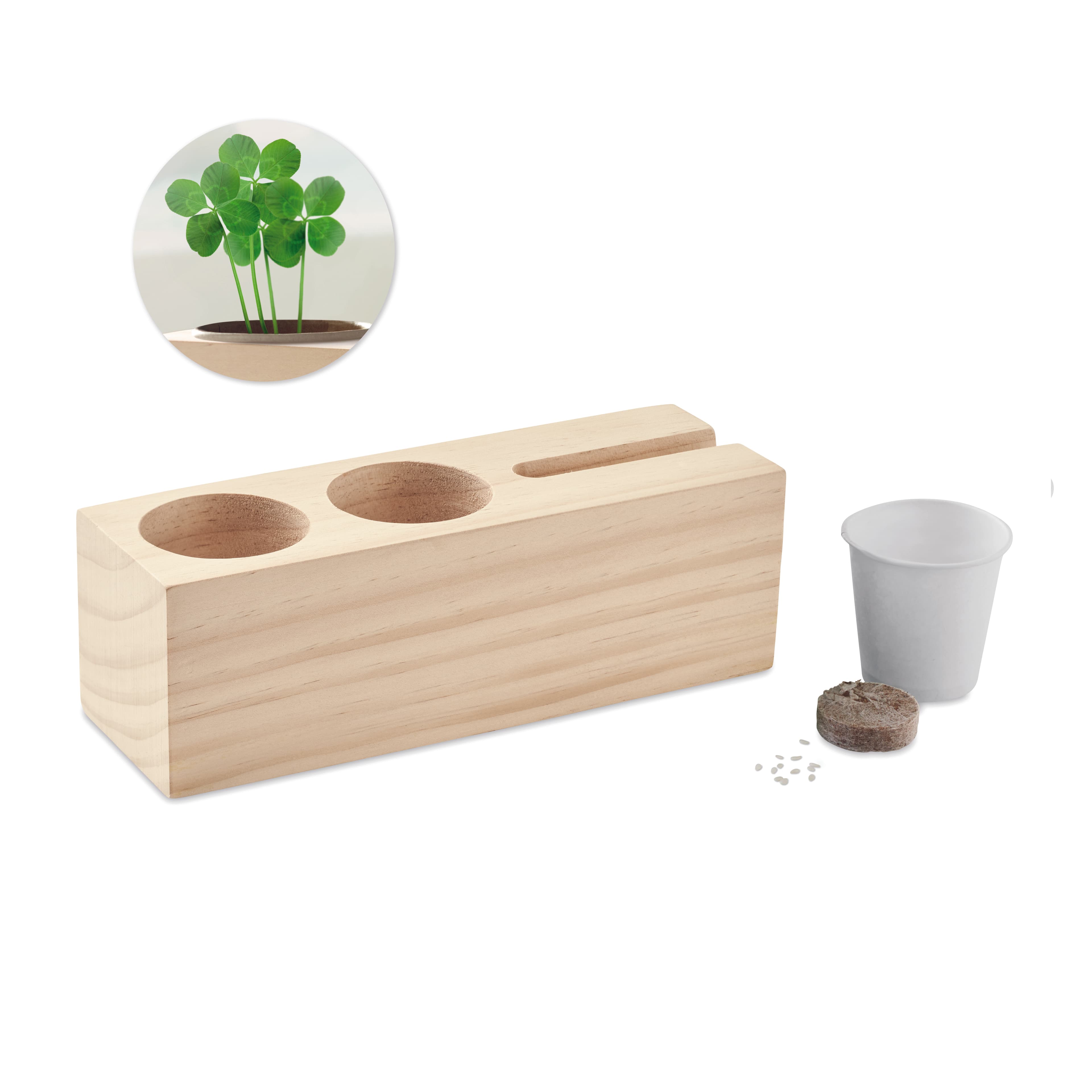 Desk Stand With Seeds Kit