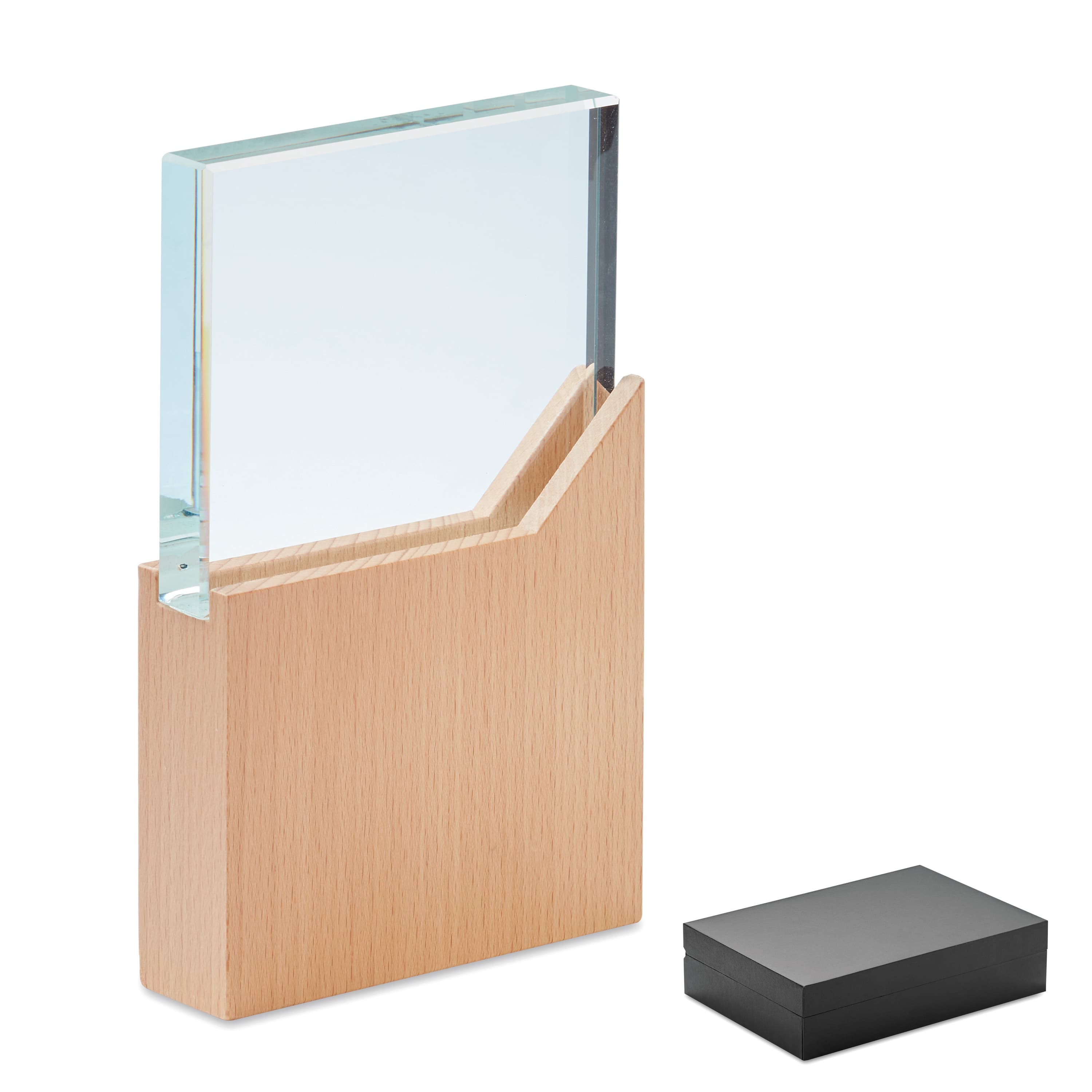 Promotional Award Plaque