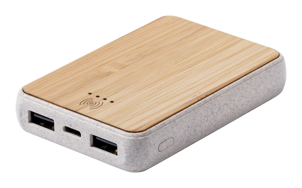 Branded USB power bank