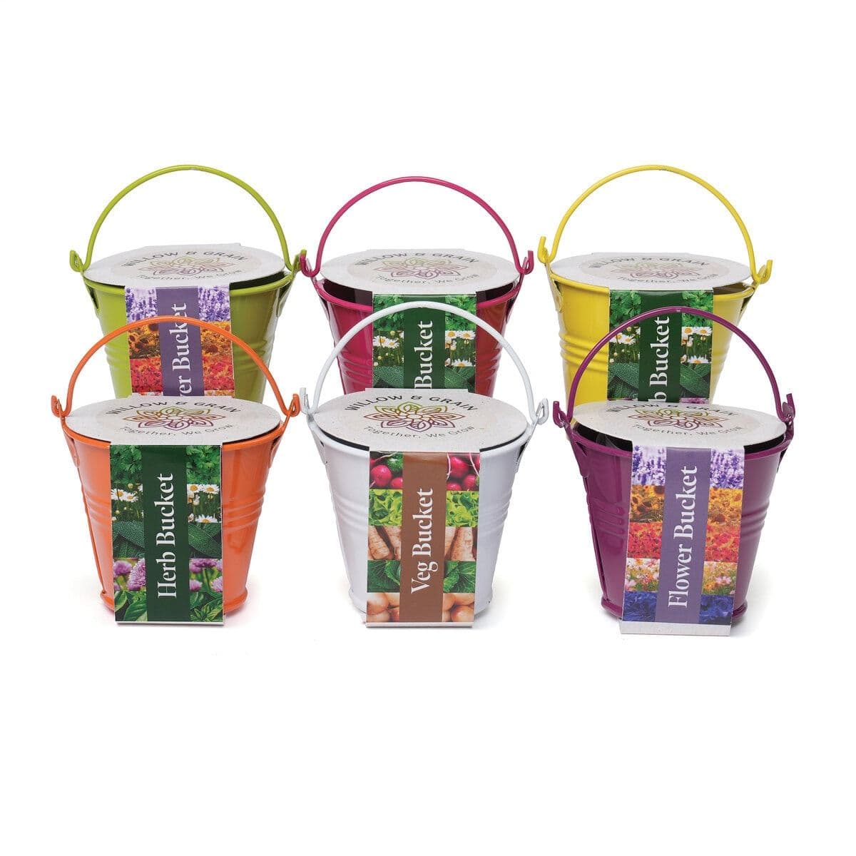 Coloured Mini Bucket Grow Kit