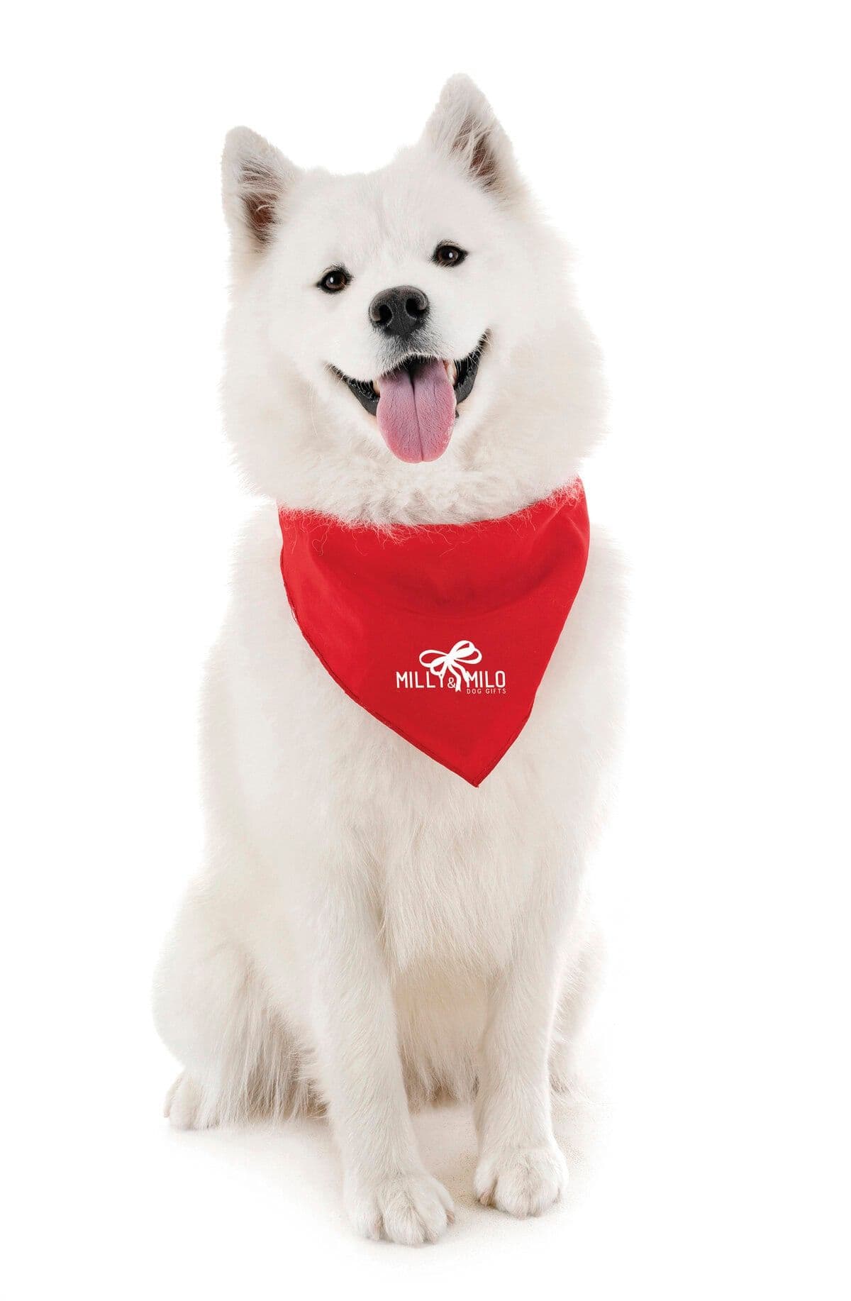 Pet Bandana Big