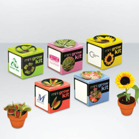 Flower set - Tiny Terracotta Cube