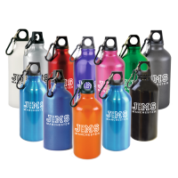 550ml Aluminium Pollock Sports Bottles