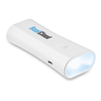 2 in 1 Powerbank and torch
